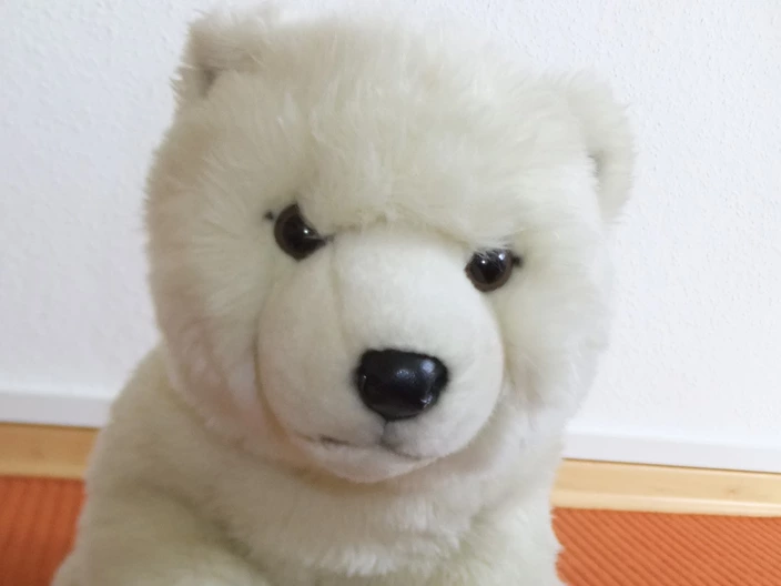 Ein Kuscheltier-Eisbär namens KOMMI